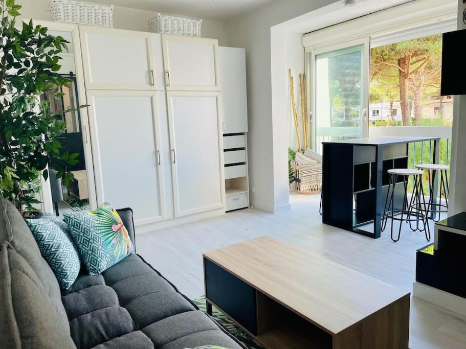 25m2, 4 Pers Cosy, Design, Avec Parking Prive Apartment La Grande-Motte